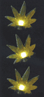 Cadena de Luces